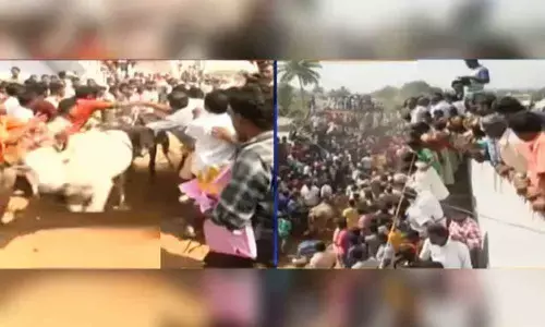 Jallikattu begins at Karalagatta village in Chittoor, many injured