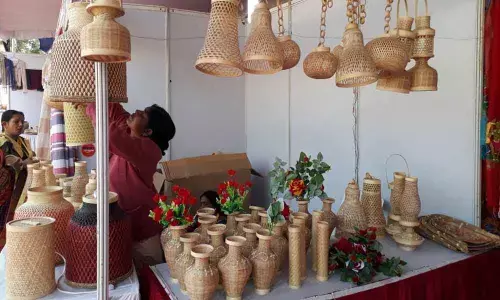 Craft mela showcases deft skills of rural women