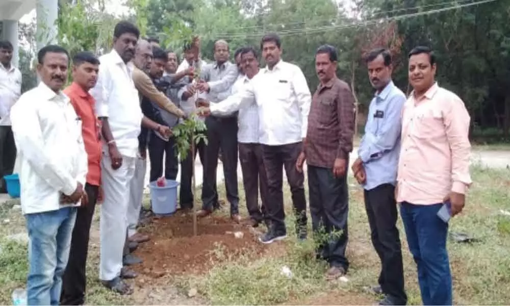 TWUJ members take up green challenge at Tandur