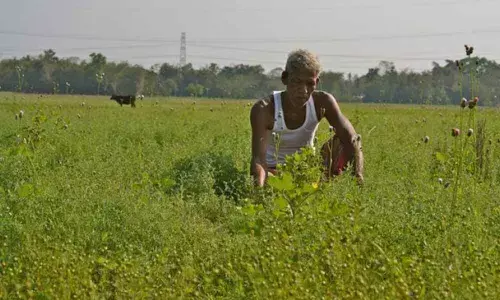 Tirupati: Settipalli farmers  wait  to  get ownership rights for two decades