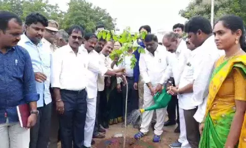 Nalgonda: MLANomula Narsimaiah, ZP chairman Banda Narender Reddy plant saplings