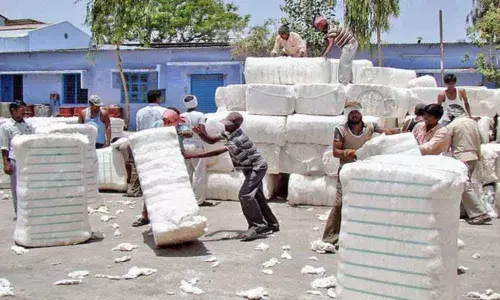 Ginning mills violate pollution norms; Central Pollution Control Board conduct an inspection