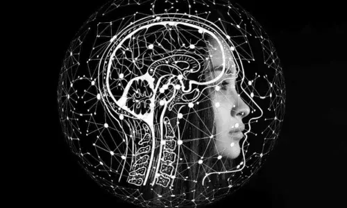 Networks in the brain play a crucial role in suicide risk: Study