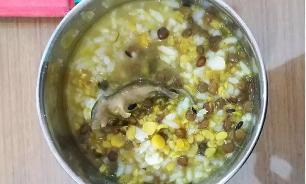 10 fall sick after rat cooked in dal in UP midday meal