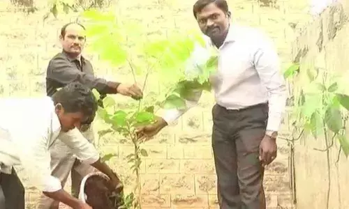 Mahbubnagar District Collector accepts Green Challenge, plants sapling