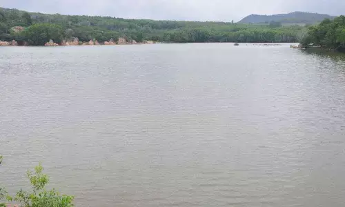 Tirupati: Rains bring abundant inflows into dams