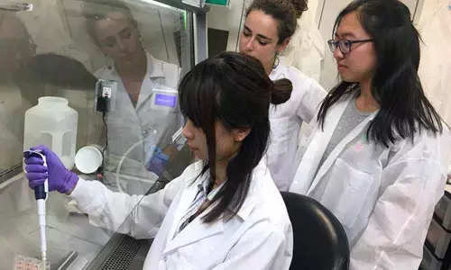 Researchers find a new way to treat pancreatic cancer