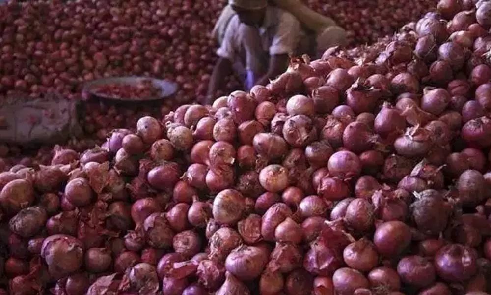 Hyderabad to procure onions from Egypt, prices likely to come down