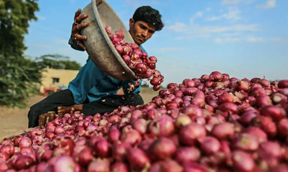 Onion Prices: Centre reduces stock holding limit to Retailers and Wholesalers by fifty per cent