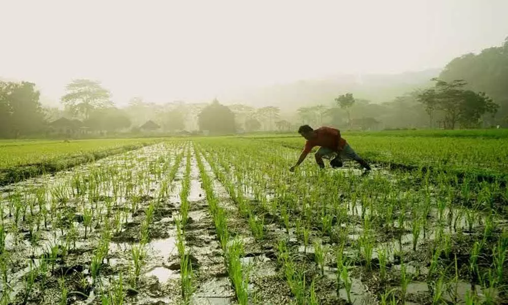 Kadapa police administration established Farmers Protection Centers in the district