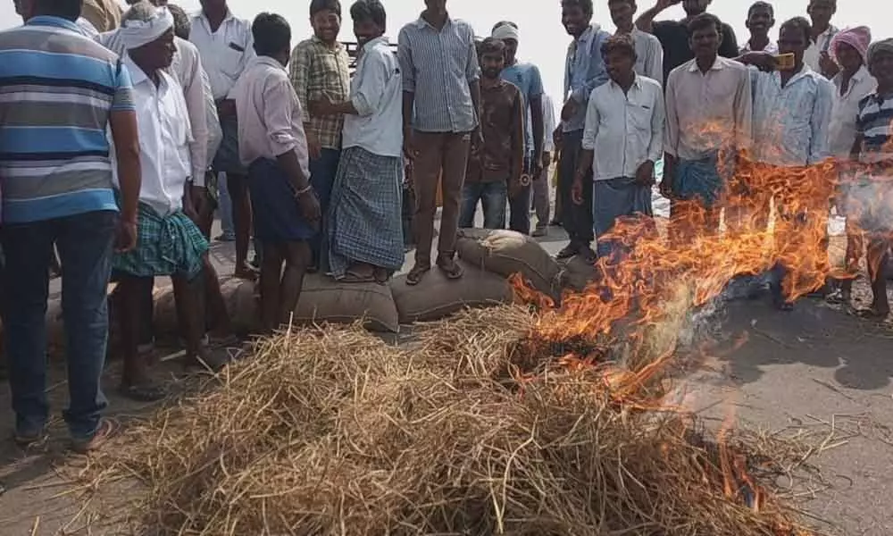 Farmers burn 12,000 quintals of paddy in Karimnagar