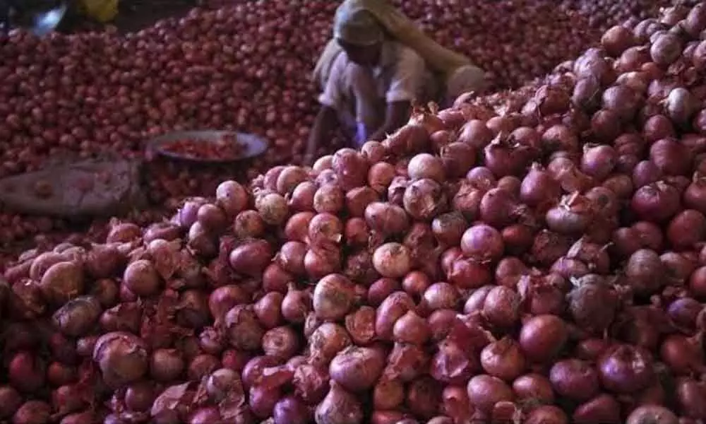 TS to import 500 MT onion from Egypt in Hyderabad