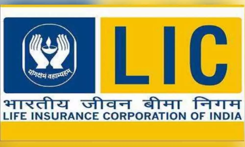 LIC Assistant Mains Admit Card 2019 Released at licindia.in, Find Direct Link Here