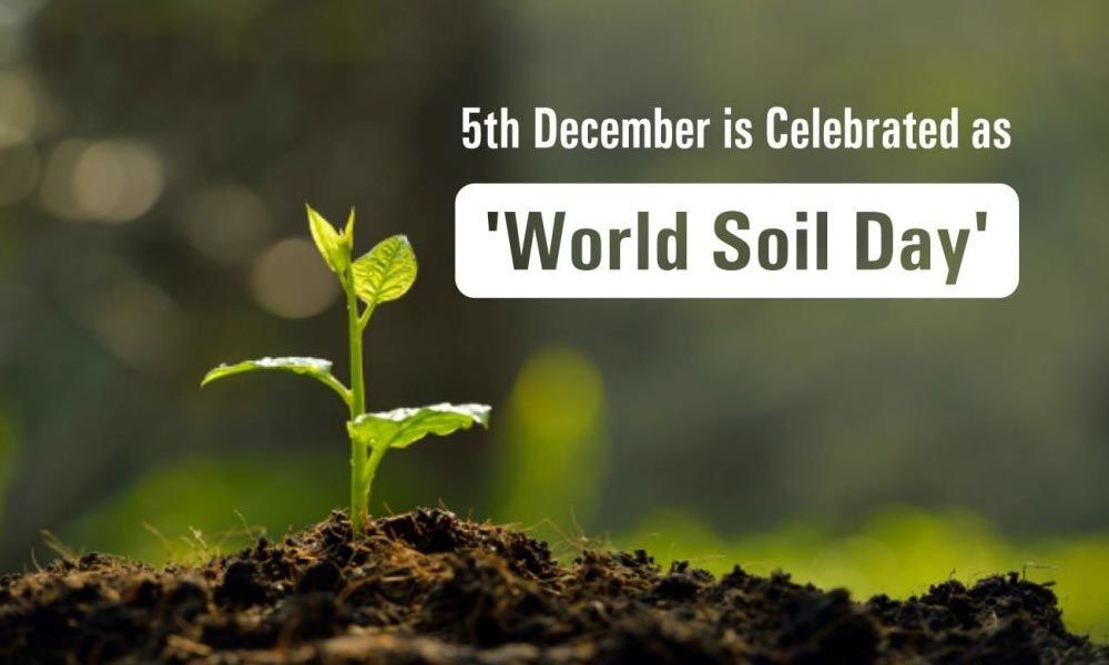 Let's pledge to save future on World Soil Day!