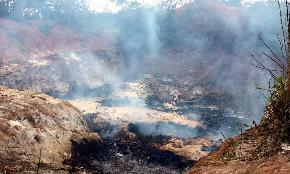 Man electrocuted at Goas biggest waste dump