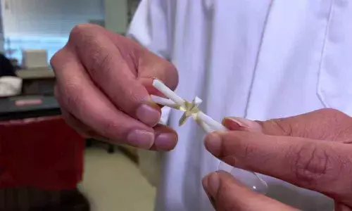 Scientists experiment with once-a-month birth control pills