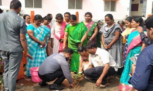 District Collector K Shashanka inaugurated Disha Smrithi Vanam in Gadwal