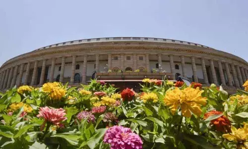 MPs decide to let go Parliament food subsidy