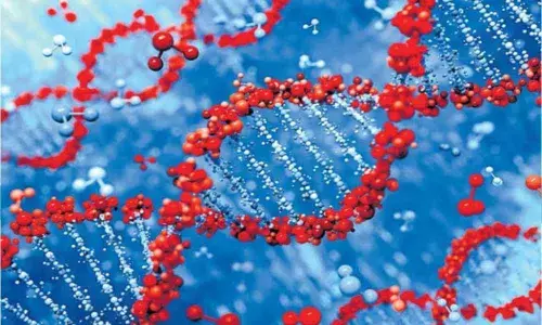 Asia has at least ten ancestral lineages: Study