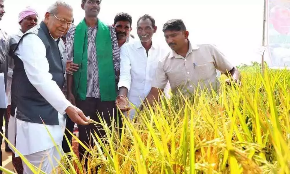 Governor Biswabhushan Harichandan Suggests to practice Organic farming for  healthy society