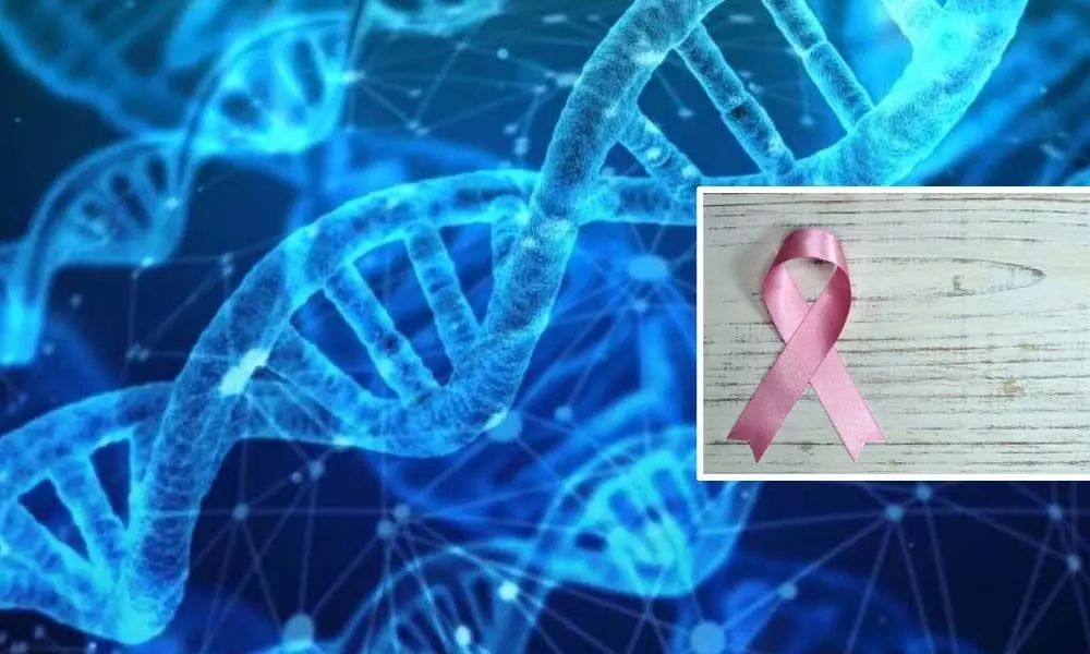 Junk DNA affects risk of inherited cancer: Study