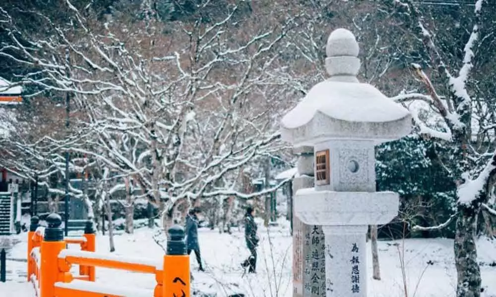 Your guide to Japan. Japan can be breathtakingly beautiful in December