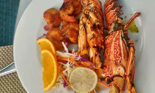 Munch the brunch during winter months in Hyderabad