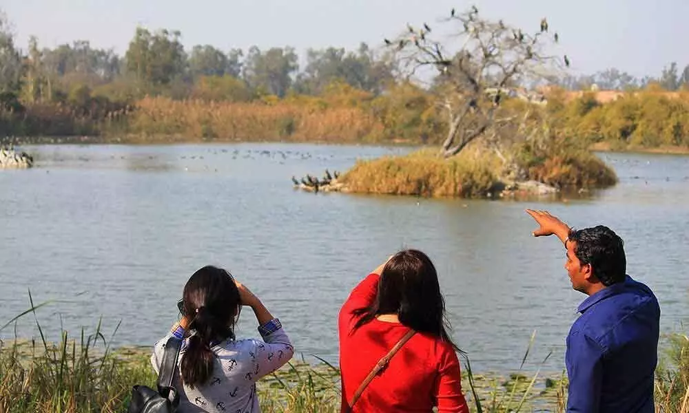 Birding across States without a book?