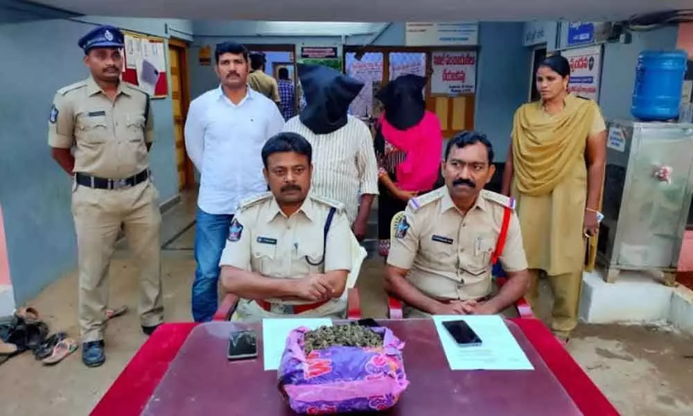 Kadapa: Police seized Rs 18,000 worth Ganja by arresting two persons