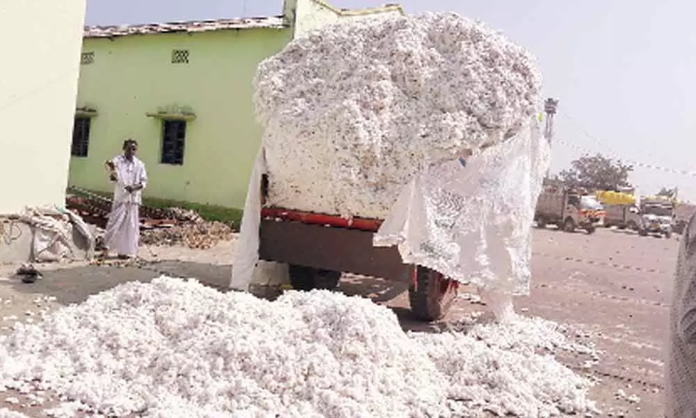 Farmers forced to sell cotton to private traders