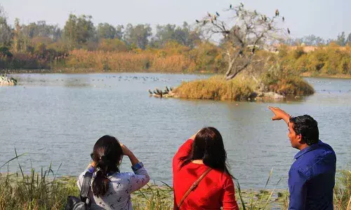 Birding across States without a book?