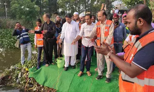 Oil balls experiment at Langer Houz lake