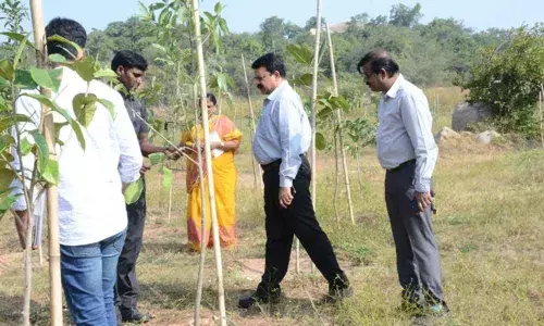 Collector MV Reddy visits forest adopted by MP J Santhosh Kumar