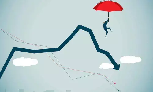 Salary delays, biz downturns at fault for loan defaults