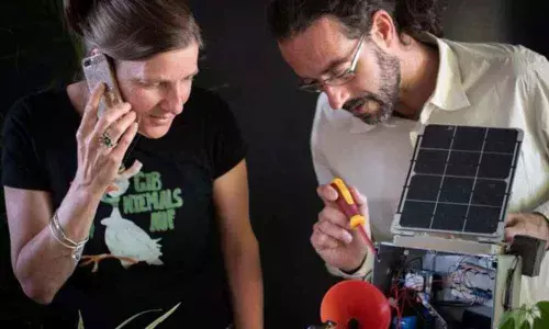 Novel telephonic device used to dial-up and survey frogs in their habitat