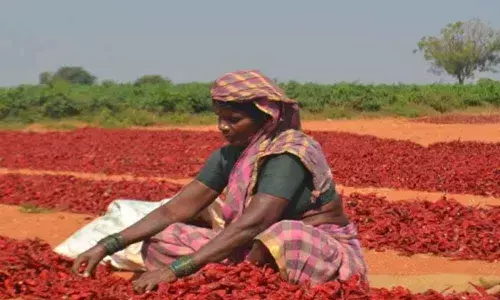 Development, water for irrigation reduce migration in Mahbubnagar district