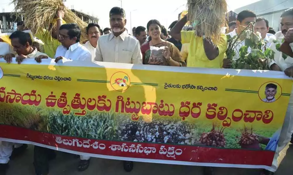 Government to announce MSP for 14 crops : Chandrababu Naidu