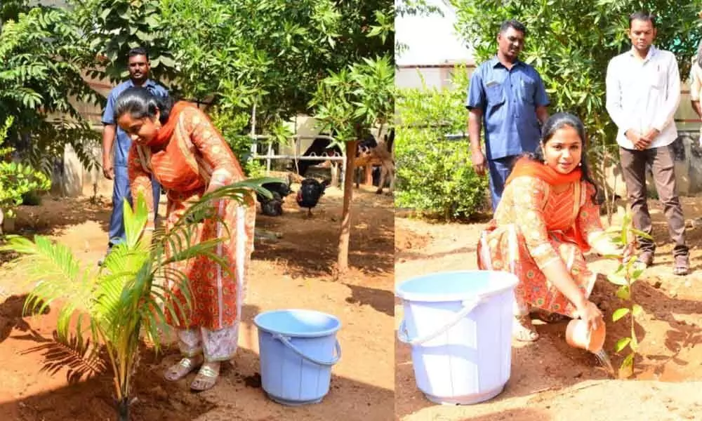 Wanaparthy District Collector Swetha Mohanthi plants sapling