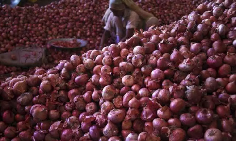 Onion scarcity shows unpreparedness of authorities