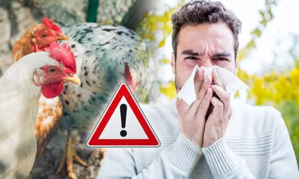 How bird flu infection is blocked by human cells decoded