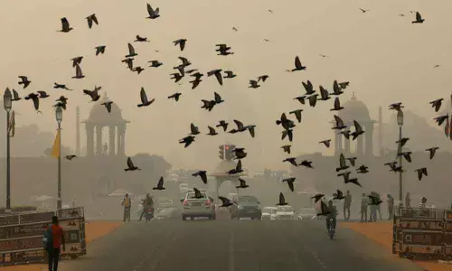 Delhi gasps for clean air, AQI remains in very poor category
