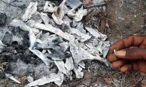 Four arrested for setting leopard afire in Adilabad