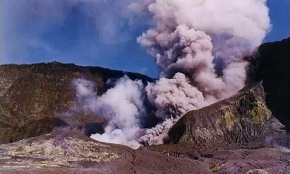 New Zealand to import skin to treat volcanic eruption survivors