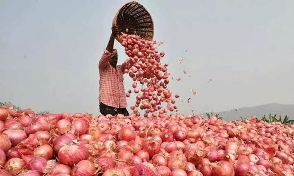 Government to import additional 12,660 tonnes of onions