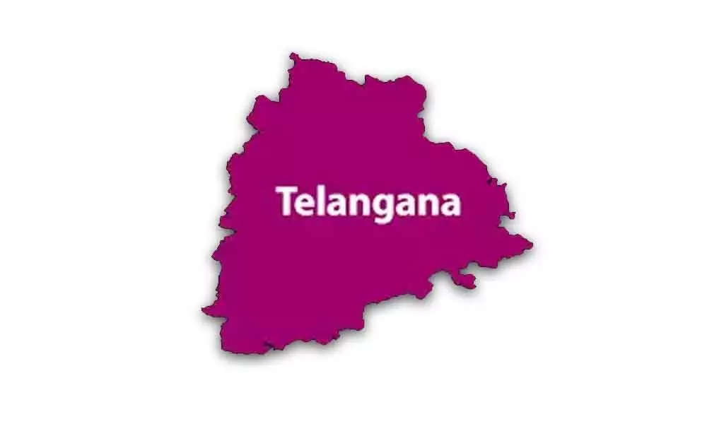 Telangana state economic slowdown hits constituencies hard