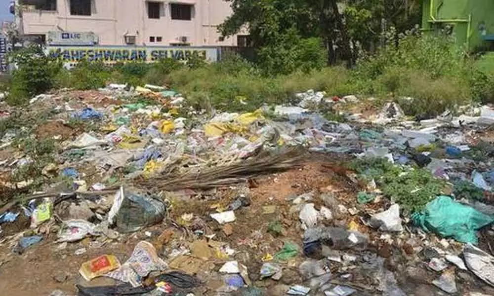 Vacant plots become mosquito breeding places