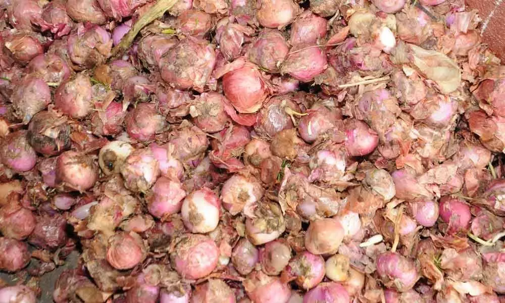 Inferior quality onions upset customers in Guntur