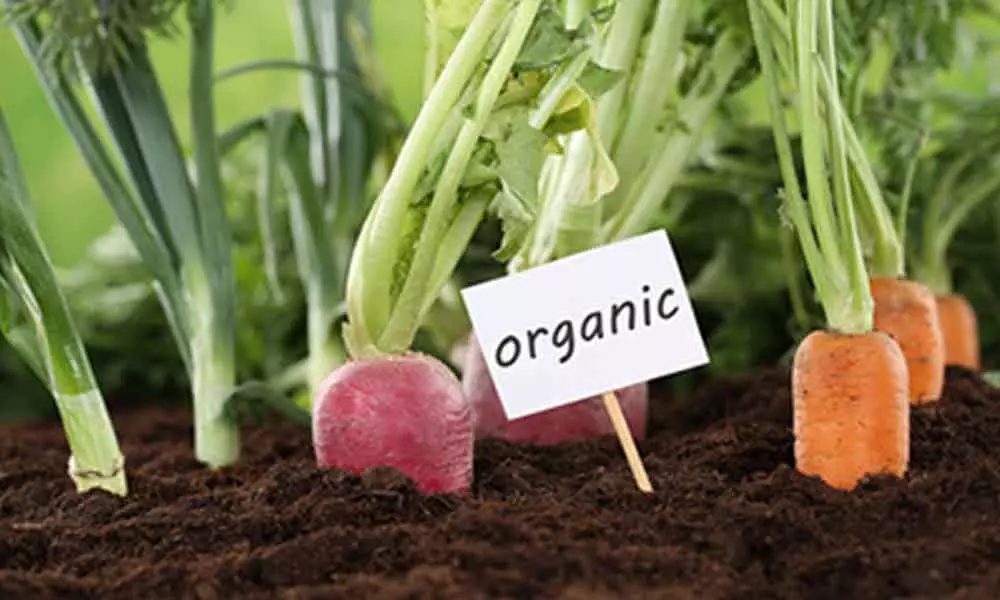 Centre should boost organic farming in a big way