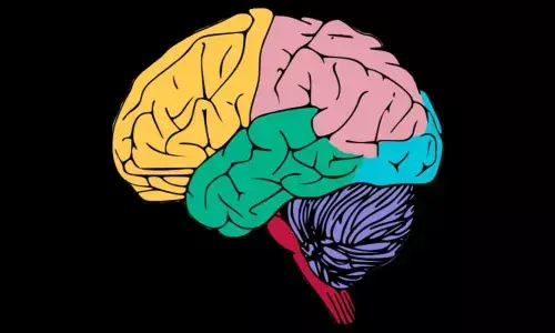 Brain circuit linked to food impulsivity identified: Study