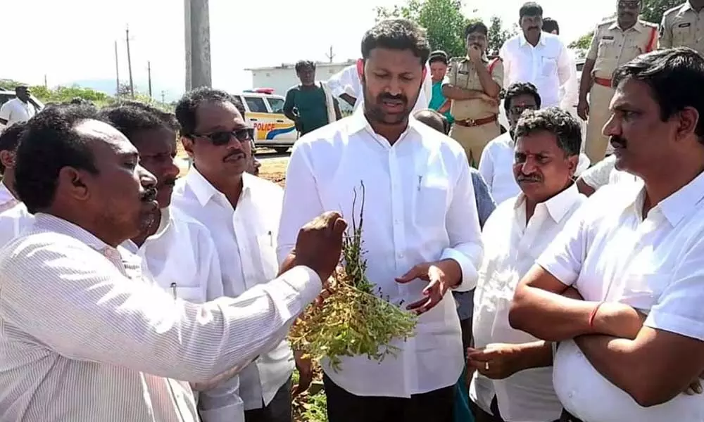 Government will extend all help to the farmers- MP YS Avinash Reddy